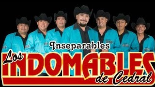 LOS INDOMABLES DE CEDRAL MIX [upl. by Anoiuq]