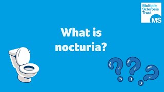 The 3 VITAMINS To STOP Frequent Urination At Night NOCTURIA [upl. by Annavahs]