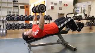 Decline Dumbbell Bench Press  Chest Exercise [upl. by Rehpotsirhc]