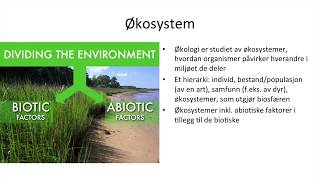 Naturfag  Økologi økosystemer og bærekraftig utvikling [upl. by Siraved365]