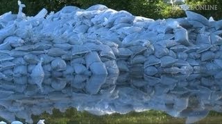 Hochwasser in Halle Höchster Pegel seit 400 Jahren  DER SPIEGEL [upl. by Eniarrol]