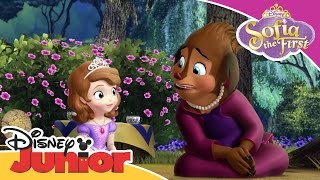 Sofia the First  Princess Charlotte  Official Disney Junior Africa [upl. by Acinorrev]