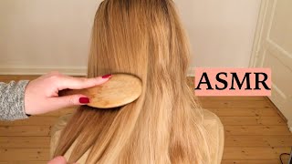 ASMR 1 HOUR HAIR BRUSHING COMPILATION NO TALKING [upl. by Celie]