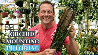 Orchid Mounting TUTORIAL [upl. by Zahara]