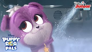 Dog Washing  Music Video  Puppy Dog Pals  Disney Junior [upl. by Anneehs]