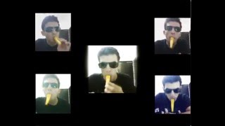 The Final Countdown Kazoo cover [upl. by Eessac671]