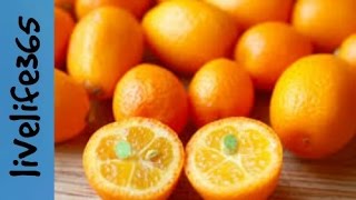 How toEat a Kumquat [upl. by Alyse]