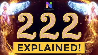 222 Angel Number  REWARDS are Coming YOUR WAY  Spiritual Message Explained [upl. by Nea698]