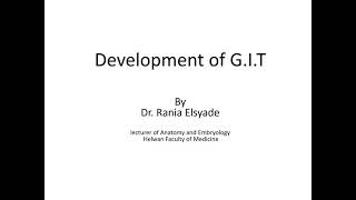 Development of midgut and hindgut [upl. by Ibok]