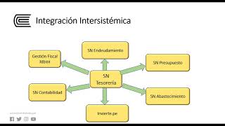 el sistema nacional de tesoreria [upl. by Alekram]