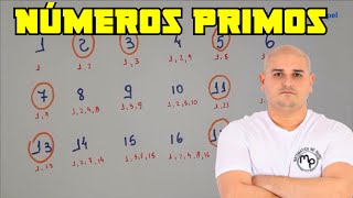 Números Primos [upl. by Ecenahs]