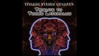 Ticks amp Leeches  Vitamin String Quartet Performs Tools Lateralus [upl. by Ianej]