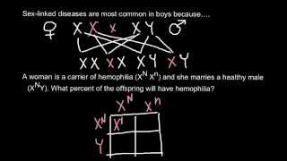 Genetic explanation of how hemophilia inherited [upl. by Dirgis748]