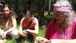 American Wintergreen  Gaultheria procumbens  with Susun Weed [upl. by Arhsub219]