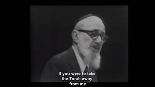 MUST WATCH Rabbi Joseph B Soloveitchik on Torah Study [upl. by Hahseram]