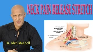 How to Sleep PAINFREE With Neck Pain AndOr Pinched Nerve [upl. by Enutrof]