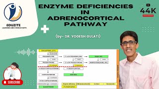 Enzyme Deficiencies In Adrenocortical Pathway CONGENITAL ADRENAL HYPERPLASIA [upl. by Nirhtak]