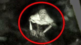 5 Mysterious Creatures Caught On Camera [upl. by Ahsiam593]