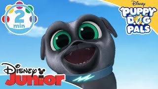 Puppy Dog Pals  Jump Song  Disney Junior UK [upl. by Hightower]