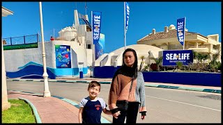 Sea Life Benalmadena Spain 2022 [upl. by Maidie]