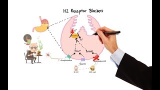 Pharmacology  ANTIHISTAMINES MADE EASY [upl. by Anoyek]