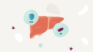 Hemophilia and Gene Therapy [upl. by Ahsienet]