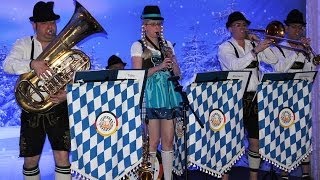 Bavarian quotoompahquot Band [upl. by Korella495]