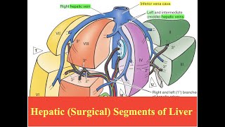 Introduction to Multiphase CT amp MRI of the Liver [upl. by Sobmalarah55]