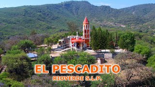 EL PESCADITO Rioverde San Luis Potosi [upl. by Stoat]