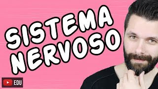 SISTEMA NERVOSO  FISIOLOGIA  Aula  Biologia com Samuel Cunha [upl. by Asertal]