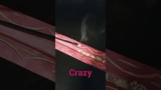 Aerosmith  Crazy [upl. by Joli]