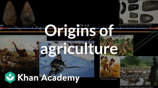 Origins of agriculture  World History  Khan Academy [upl. by Strep168]