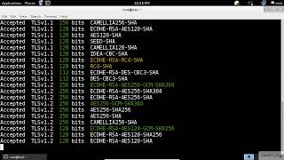 SSL Scanning  Kali Linux  SSLTLS Vulnerability Scanner [upl. by Ybbil]