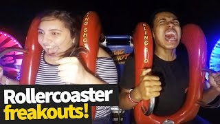 Hilarious Rollercoaster Moments  Funny Reactions and Fails [upl. by Gothurd]