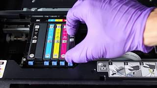 How to Clean Epson Expression Premium XP500 XP600 XP700 XP800 XP900 series of printers [upl. by Maker569]