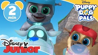 Puppy Dog Pals  Lets Hit The Road Song  Disney Junior UK [upl. by Servais]