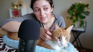 ASMR Cat Pampering 😽 purring brushing soft whispers [upl. by Ahseka534]