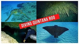 Diving Quintana Roo [upl. by Pickard]