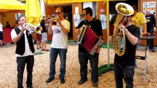 Austrian Folk Music Traditional Oompah Band Playing at Picture On Festival 110812 [upl. by Nnylaehs]