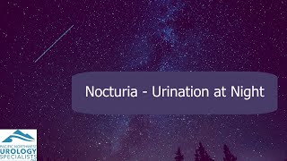 Urinating at night  Nocturia [upl. by Atnwahsal266]