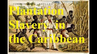 32 When sugar ruled the world Plantation slavery in the 18th c Caribbean [upl. by Akemahc]