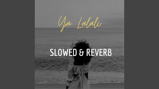 Ya Lalali Slowed amp Reverb [upl. by Hillell]