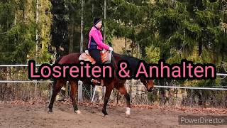 Westernreiten lernen Das Losreiten amp Anhalten [upl. by Knipe328]