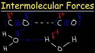 Intermolecular Forces  Hydrogen Bonding Dipole Dipole Interactions  Boiling Point amp Solubility [upl. by Noyart]