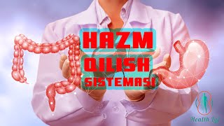 Hazm qilish sistemasi azolari anatomiya va fiziologiyasi [upl. by Housen]