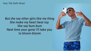 Kidi  Say Cheese Lyrics [upl. by Assin]