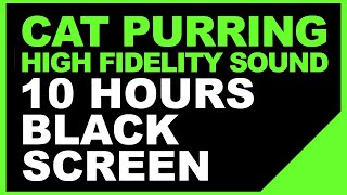 Cat Purring ASMR  Cat Purring Sound  Cat Purring Healing HighFidelity Sound 10 Hours Black Screen [upl. by Thurlough]