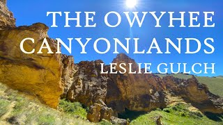 The Owyhee Canyonlands Leslie Gulch [upl. by Yeloc]