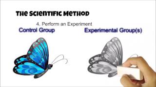 The Scientific Method  Review the Basics [upl. by Eednarb]