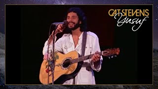 Cat Stevens Live Performance [upl. by Annnora693]